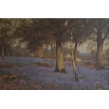 E W Waite, "Bluebell Woods", oil on canvas, signed lower right, gallery label verso, 51 x 77cm,