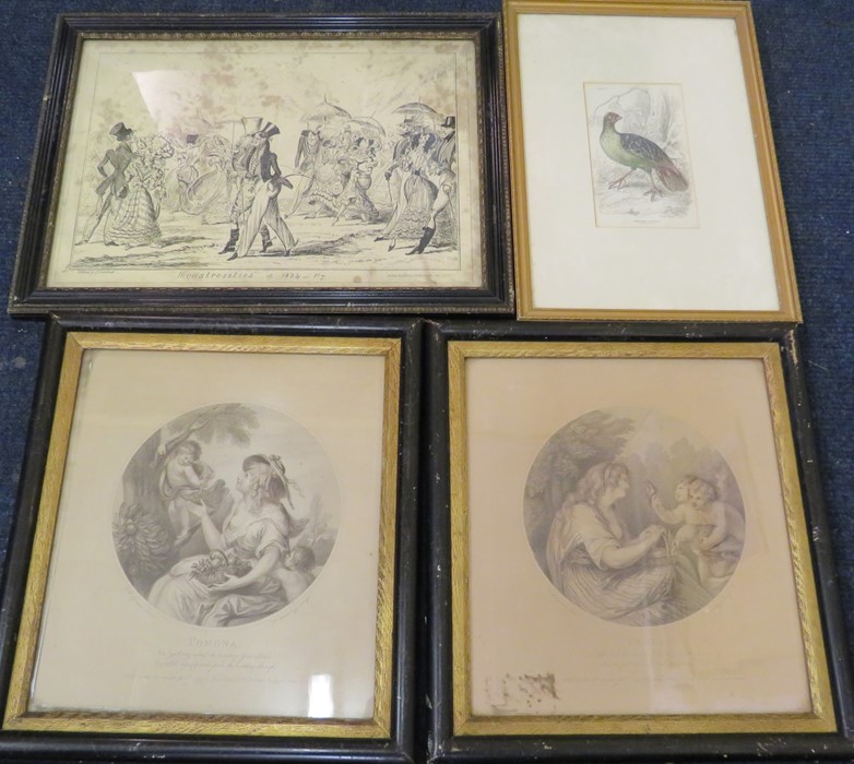 A collection of framed books prints. To include: Ceres, Pomona, Liverpool, Monstrosities and