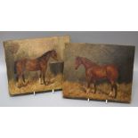 Two early 20th century English school, equine studies of a chestnut mare in a stable , oil on canvas