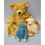 A Steiff curly mohair bear, 35 cms, together with three small Steiff bears, champagne, blonde and