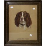 20th century European school,  study of a liver and white spaniel, Wardgate Floss. Pastel, 40 x 31