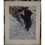 Limited edition prints: 'Royal Pair' by Maurade Baynton No 65/390 and 'In Deep- Black Bear Cub' by