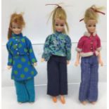 Pippa Dolls: Three Pippa Dolls made by Palitoy, 1960/70. All with plastic hinged knees. Along with a
