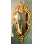 A Rococo design gilt wood looking glass, cartouche shaped mounted with foliage and cherub