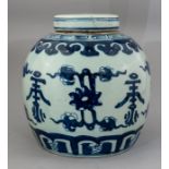 A 19th Century Chinese provincial blue and white g