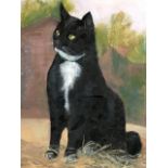 George Jardine (British,1920-2003), seated cat, signed l.r., oil on board, 30 by 24cm, framed