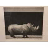 Peter Philip (British, Liverpool, 20th Century), rhino and leopard, two, signed and dated 1977 l.r.,