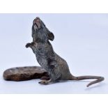Bergman: A cold painted bronze study of a mouse with a nibbled biscuit, height approx 5.5cm,