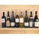 ***ITEM LOCATED AT BISHTON HALL*** Eight bottles of assorted wine, to include Touraine-Mesland,