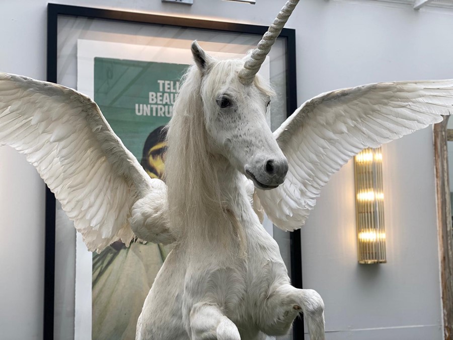 A magnificent one off/ unique modern taxidermy 'unicorn' with detachable swan feather wings, mounted - Image 2 of 3