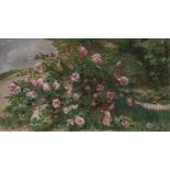François Joseph Clément Halkett (1856-1921)Flowering rosebush and House (1915)Lot composed of one