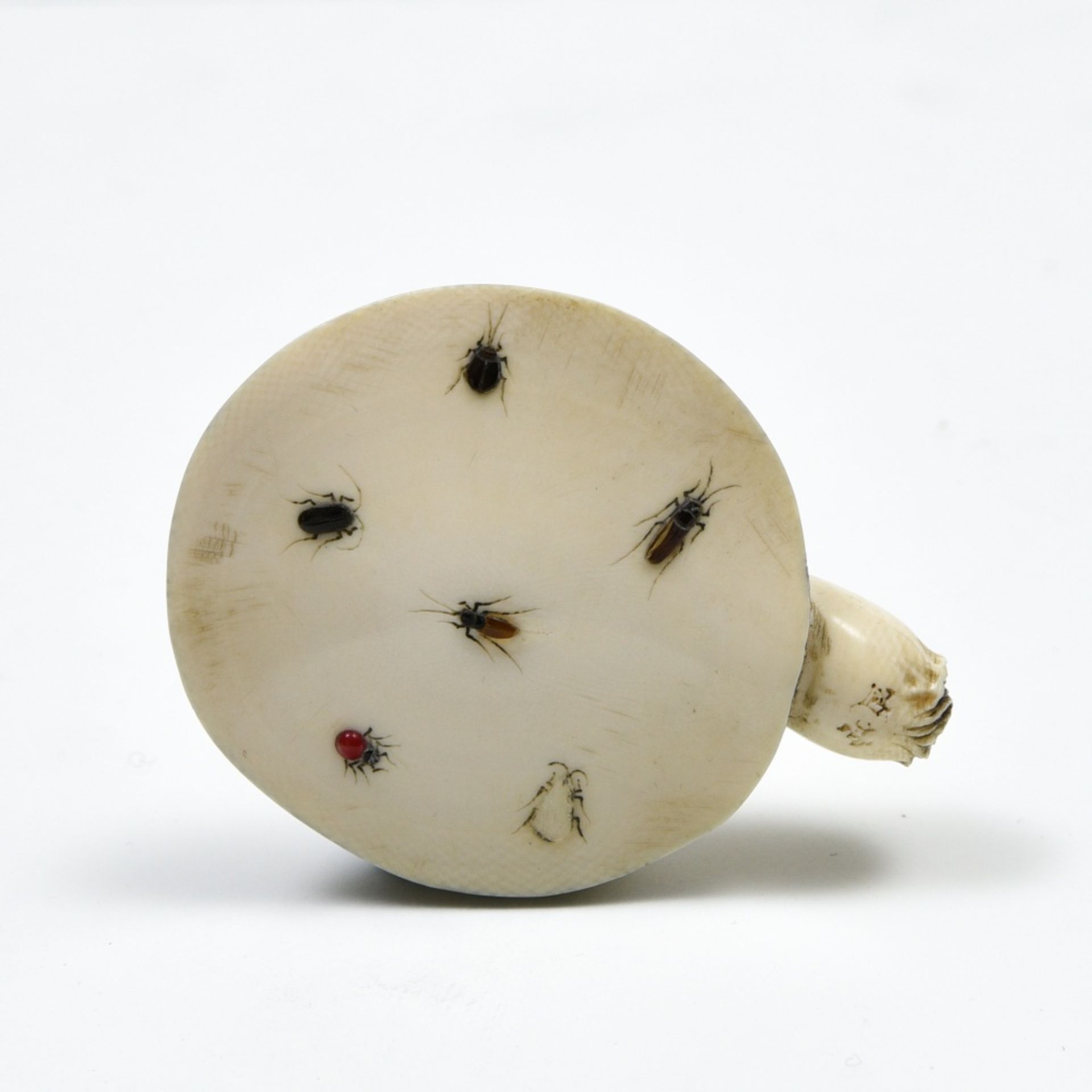 Japan, 19th century Shibayama mushroom, Carved and polished ivory with applied enamel insects. - Image 3 of 3