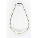 Pearl necklace Composed of 53 white Akoya pearls in decreasing order of size from +/- 7.3 - 9.8 mm.