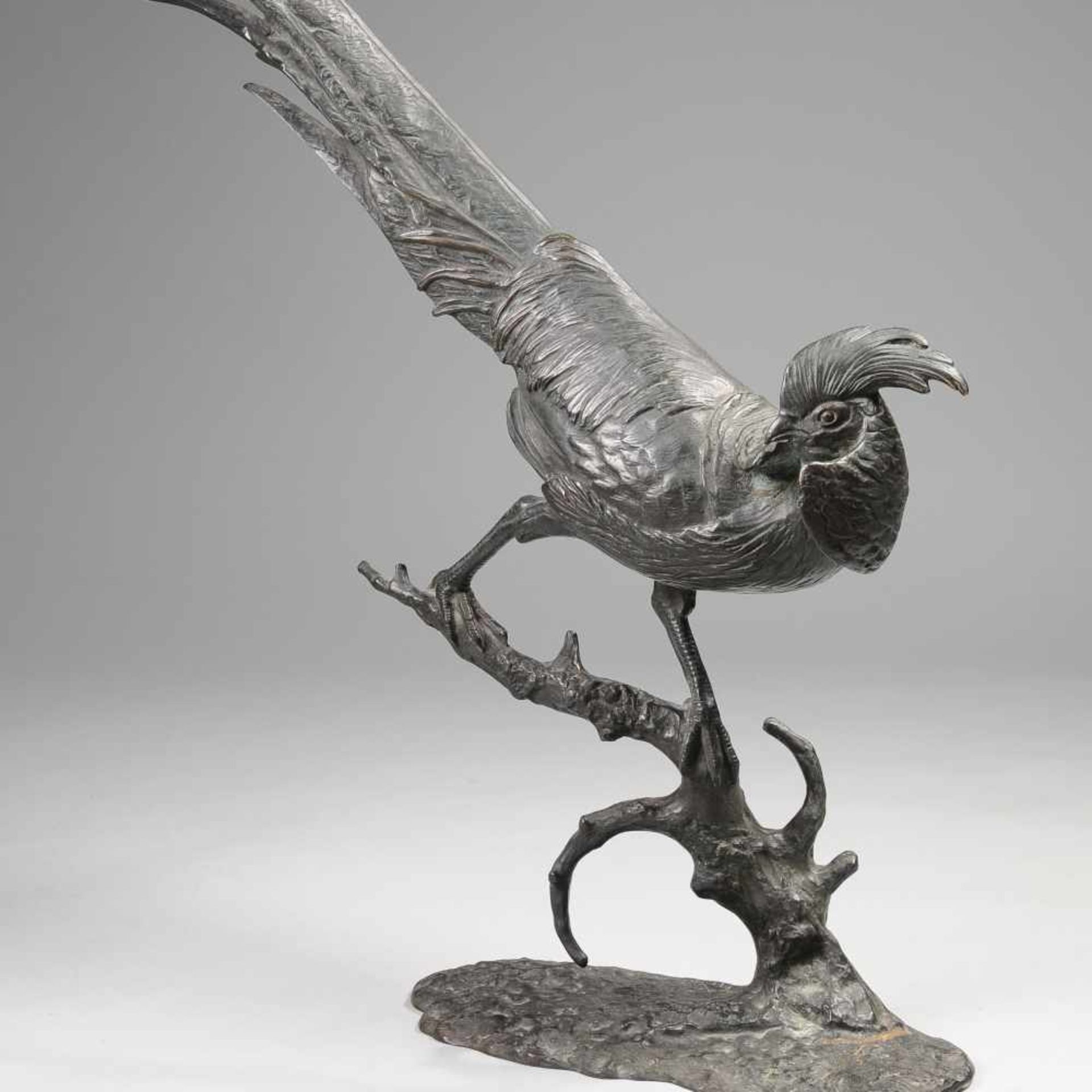 Büschelberger, Anton (1869 Eger - 1934 Dresden) Bronze, dunkel patiniert, prächtiger "Goldfasan" auf
