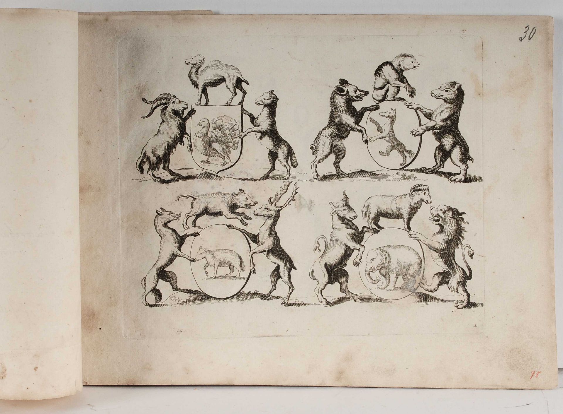 Zoophorus Mirabilis" Kupferstiche, insg. 10 Seiten eines Ornamentstichwerks von Pieter Schenk ( - Bild 2 aus 5