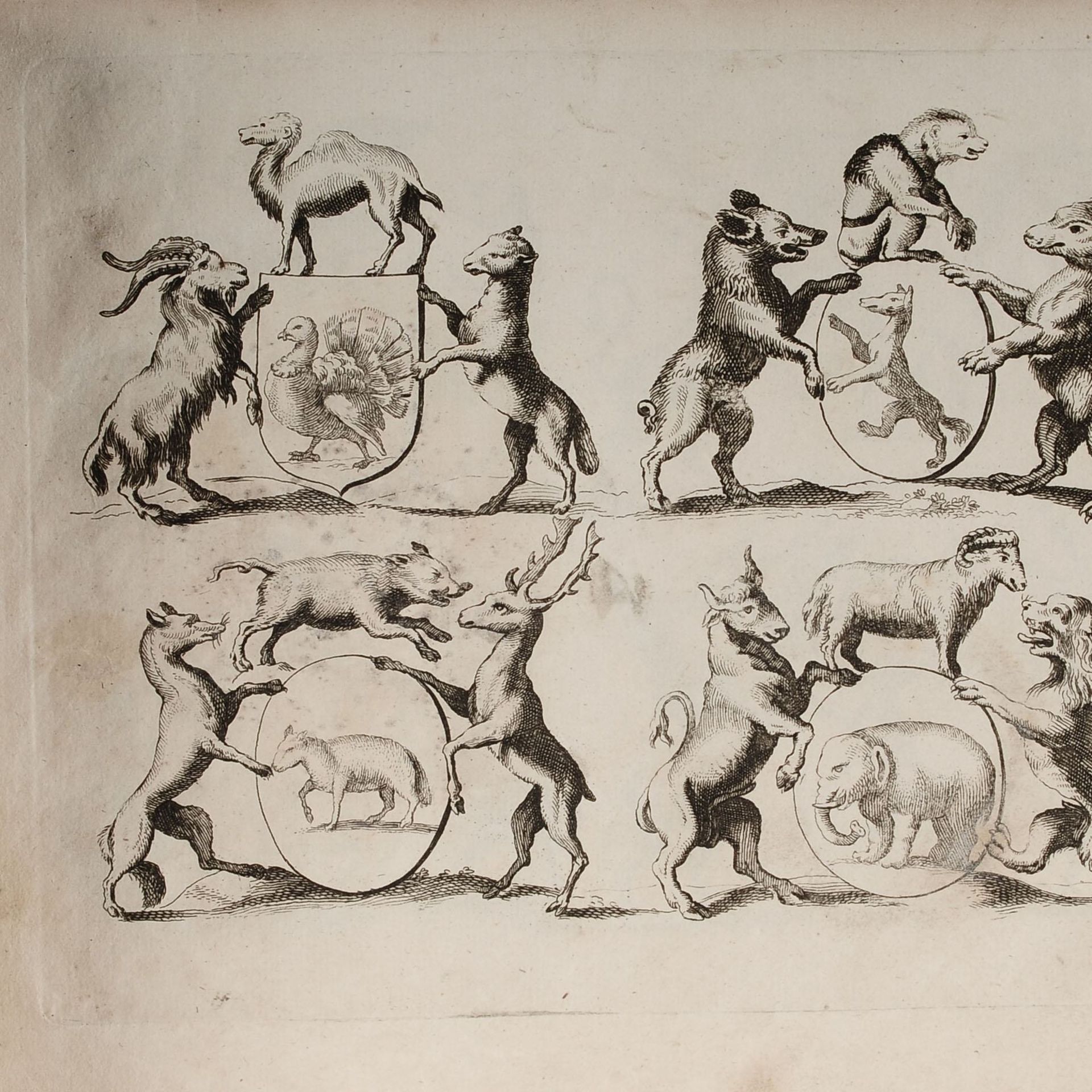 Zoophorus Mirabilis" Kupferstiche, insg. 10 Seiten eines Ornamentstichwerks von Pieter Schenk (