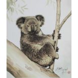 Xu Yanbo (B. 1943) "Koala Propped in Branch"