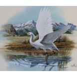 Don Balke (B. 1933) "Utah Snowy Egret"