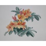 Zeng Xiaolian (B. 1939) "Rhododendron Molle"