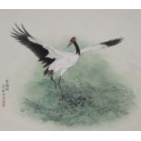 Zhan Gengxi (B. 1941) Black-Necked Crane Flapping