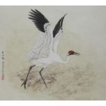 Zhan Gengxi (B. 1941) "Whooping Crane Flapping"