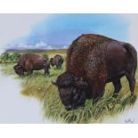 Don Balke (B. 1933) "North American Bison"