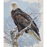 John Swatsley (B. 1937) "Bald Eagle"