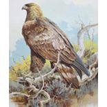 John Swatsley (B. 1937) "Golden Eagle"