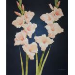 Skip Whitcomb (B. 1946) "Gladiolus"
