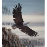 Don Balke (B. 1933) Bald Eagle in Flight