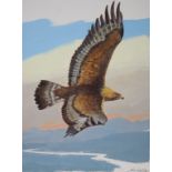 John Swatsley (B. 1937) "Golden Eagle"