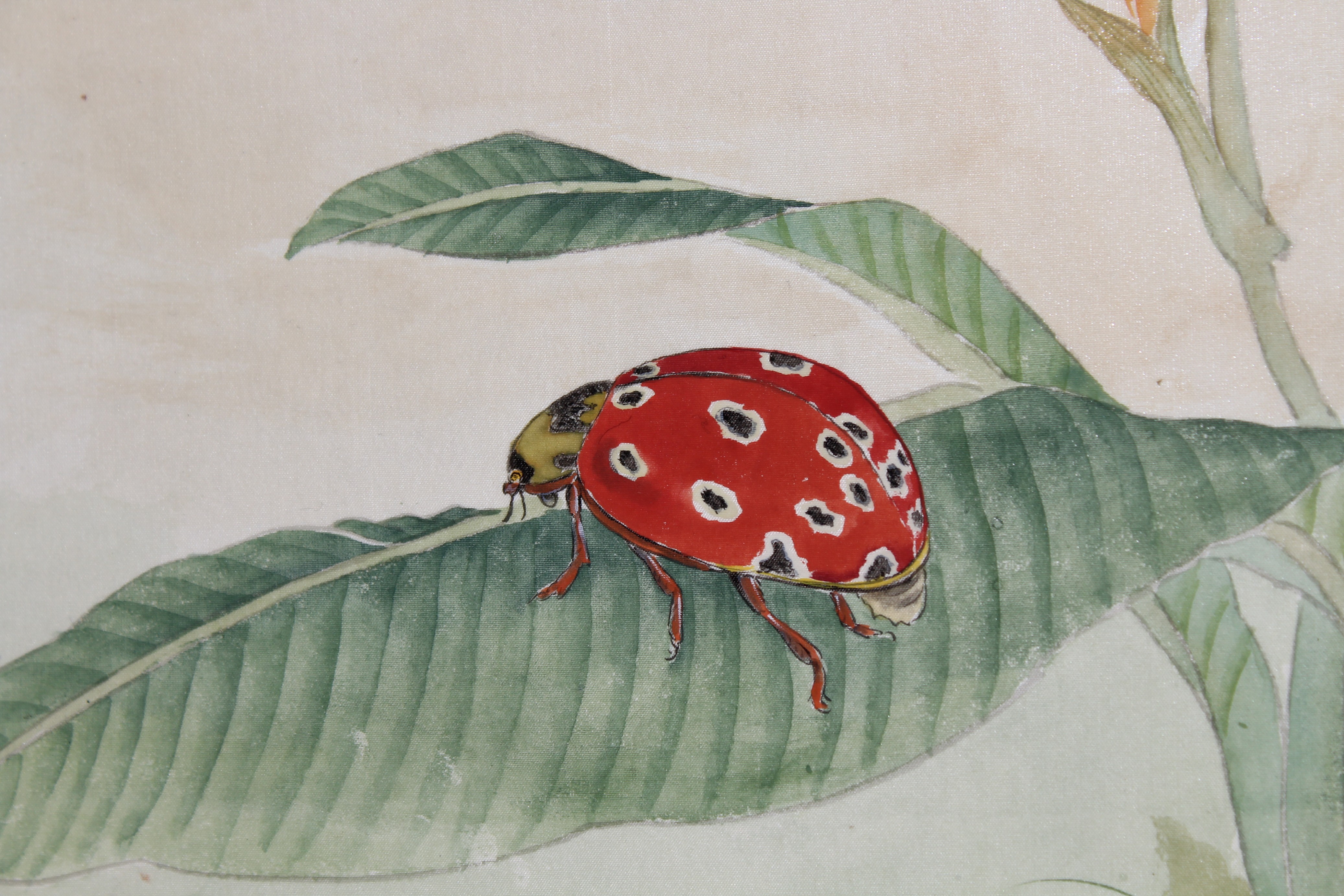 Yan Bingwu & Yang Wenqing "Ladybug" - Image 2 of 4