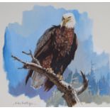 John Swatsley (B. 1937) "Bald Eagle"