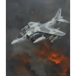 Jack Fellows (B. 1941) AV-8B Harrier II