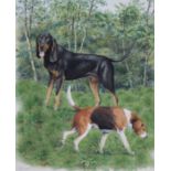 Peter Barrett (B. 1935) Coonhound and Foxhound