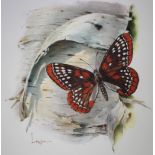 Lyle Tayson (American, 1924 - 2014) "Checkerspot Butterfly" Signed lower left. Original Mixed