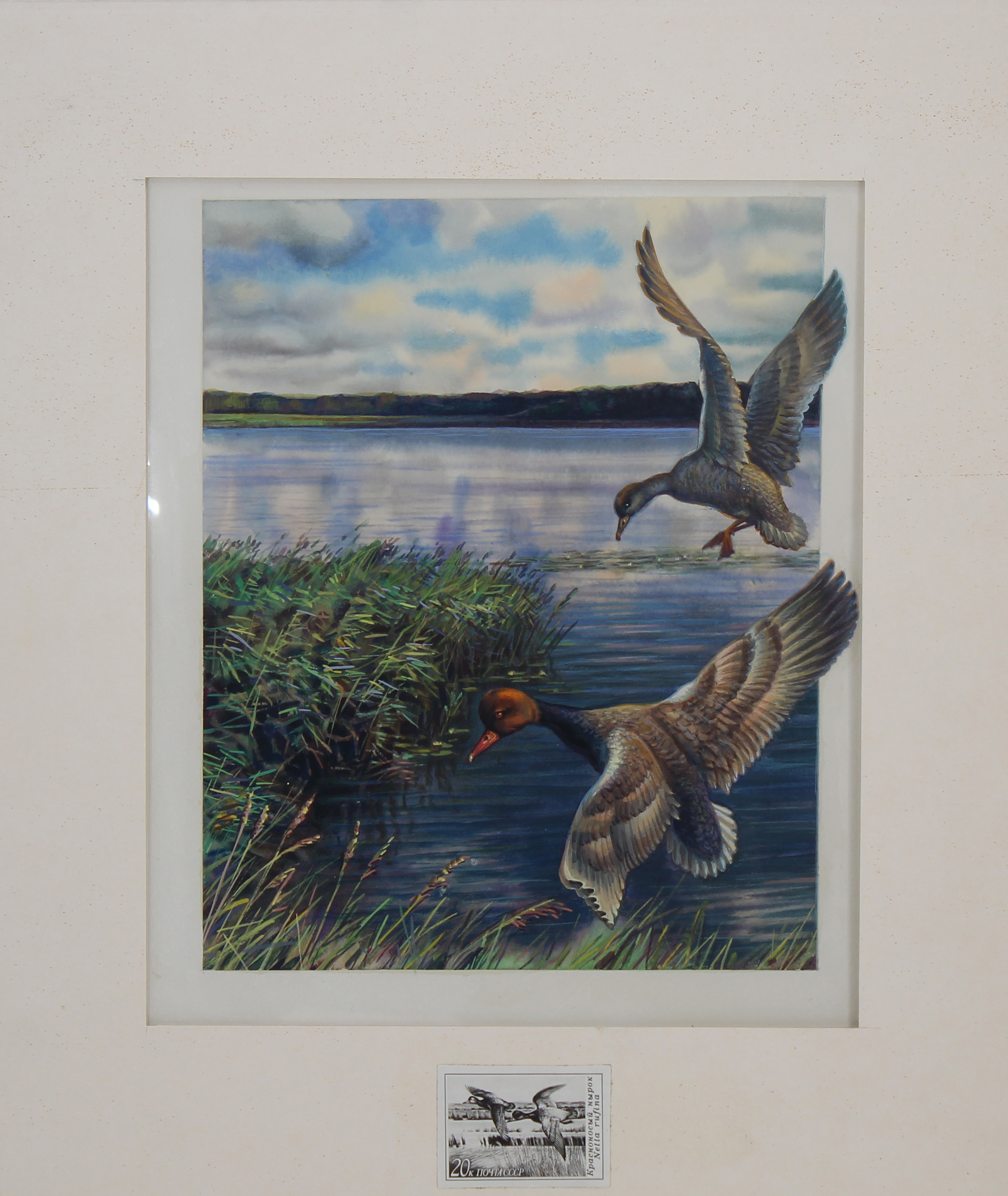 Ivan Kozlov (Russian, B. 1937) "Red-Crested Pochard" Signed and dated ('90) lower right. Original