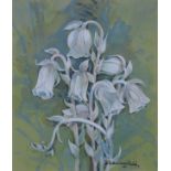 Gordon Beningfield (British, 1936 - 1998) "Indian Pipe - Wildflower" Signed lower right. Original