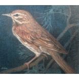 Keith Bowen (UK, B. 1950) "Redwing Thrush" Signed lower left. Original Chalk on Construction