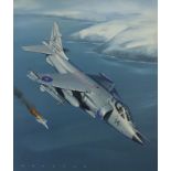 Jack Fellows (Washington, B. 1941) "Sea Harrier" Signed lower left. Original Oil painting on