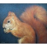 Keith Bowen (UK, B. 1950) "Red Squirrel" Signed lower left. Original Chalk on Construction Paper.