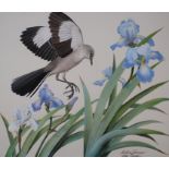 Arthur Singer (New York, 1917 - 1990) "Mockingbird and Iris" Signed lower right. Original Watercolor