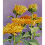 Skip Whitcomb (American, B. 1946) "Summer Garden Flowers - Marigold" Signed lower left. Original