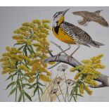 Arthur Singer (New York, 1917 - 1990) "Western Meadowlark and Goldenrod" Signed lower right.