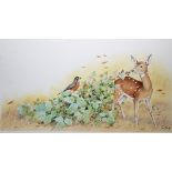 Peter Barrett (British, B. 1935) "Life of a Baby Deer" Watercolor on Paper. Signed lower right.