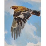 John Swatsley (American, B. 1937) "Tawny Eagle" Signed lower right. Original Acrylic painting on