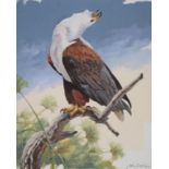 John Swatsley (American, B. 1937) "African Fish Eagle" Signed lower right. Original Oil on