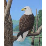 Chuck Ripper (B. 1929) "American Bald Eagle"