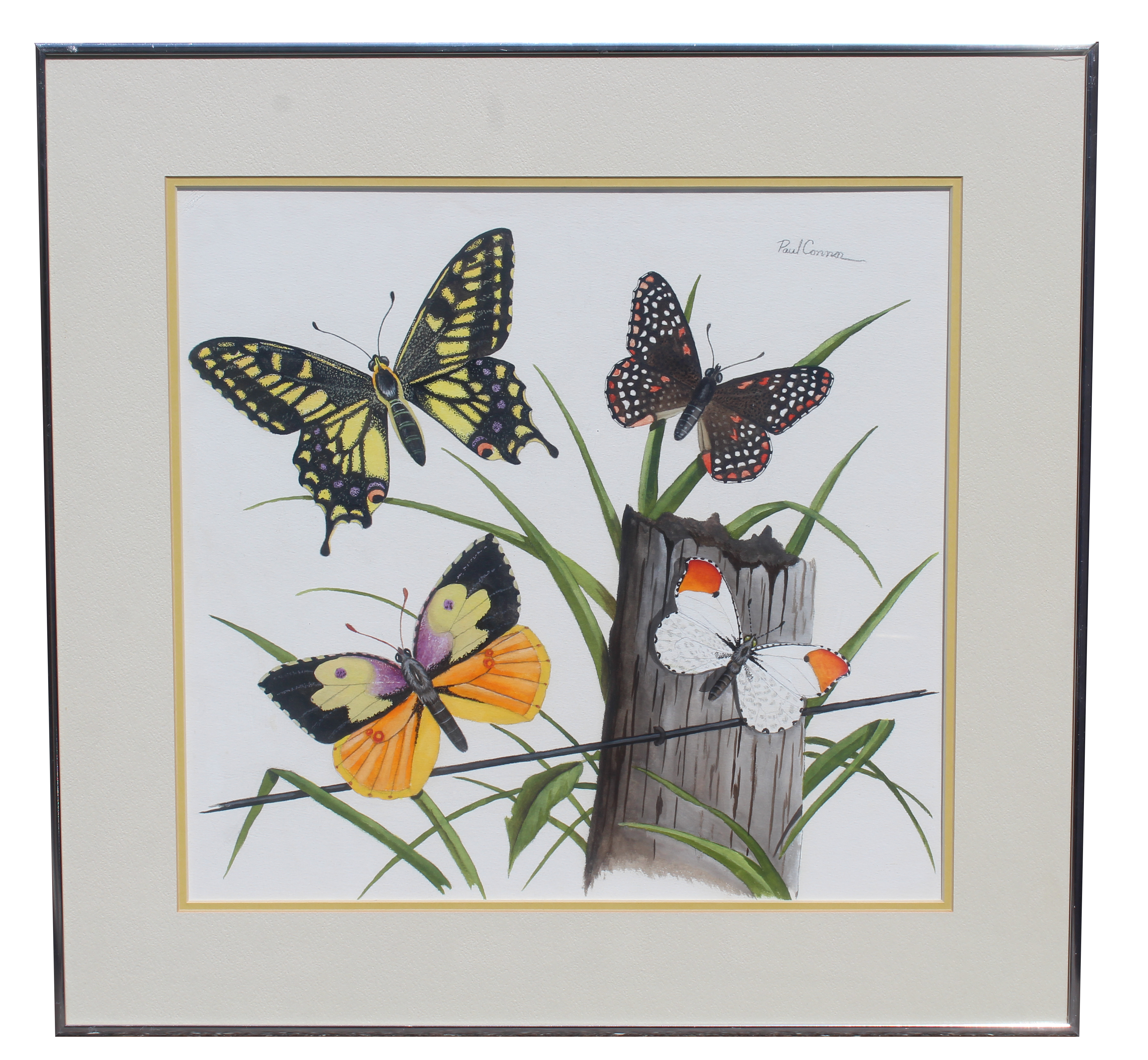 Paul Connor (20th C) "Butterflies" - Image 5 of 6