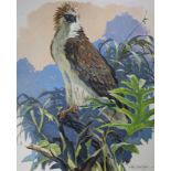 John Swatsley (B. 1937) "Philippine Eagle"